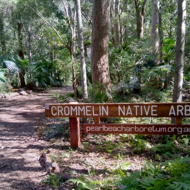 Pearl-Beach-Arboretum